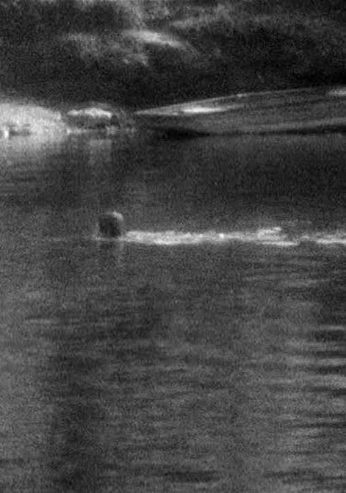 Swimming постер