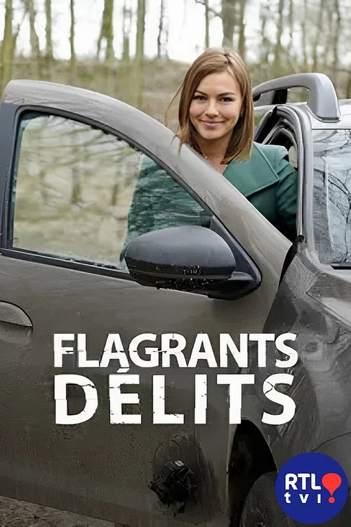 Flagrants délits постер
