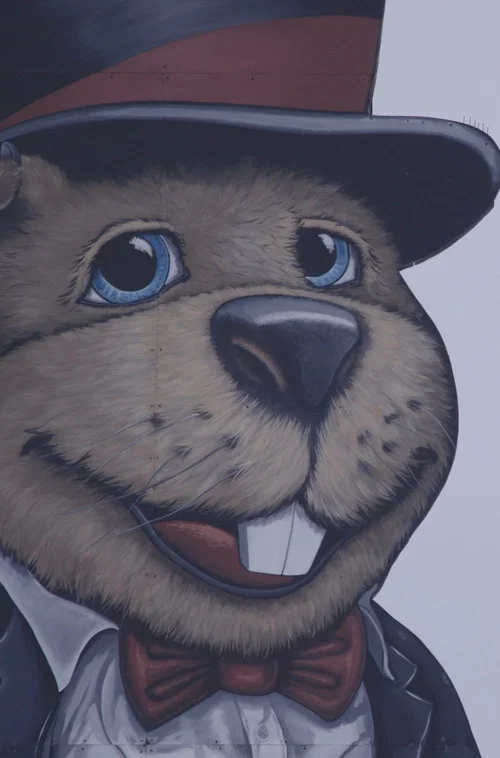 Groundhog Town постер