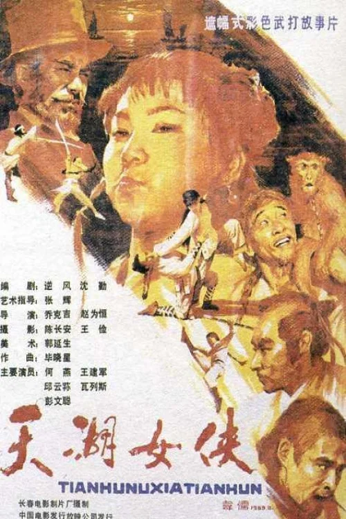 天湖女侠 постер