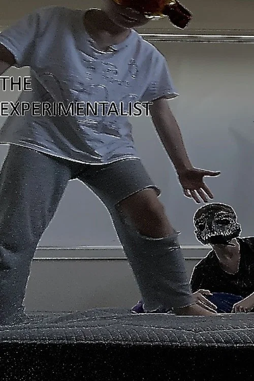 The Experimentalist постер