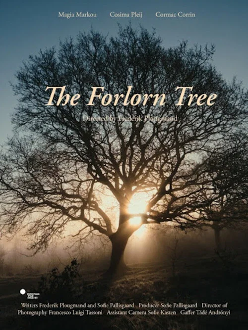 The Forlorn Tree постер