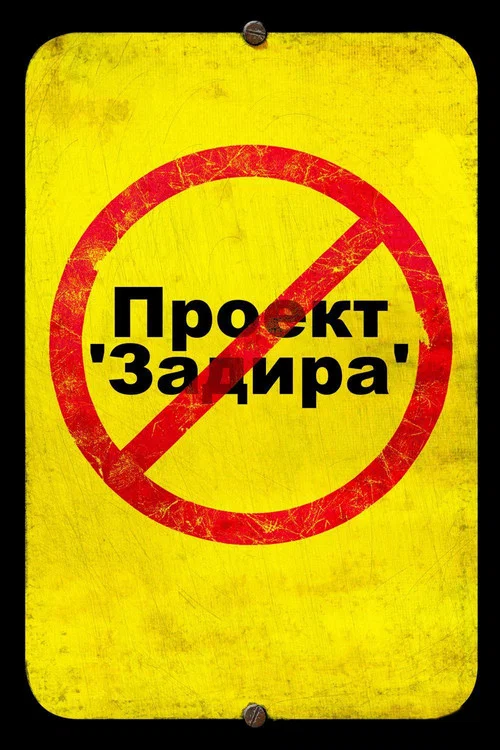 Проект 'Задира' постер
