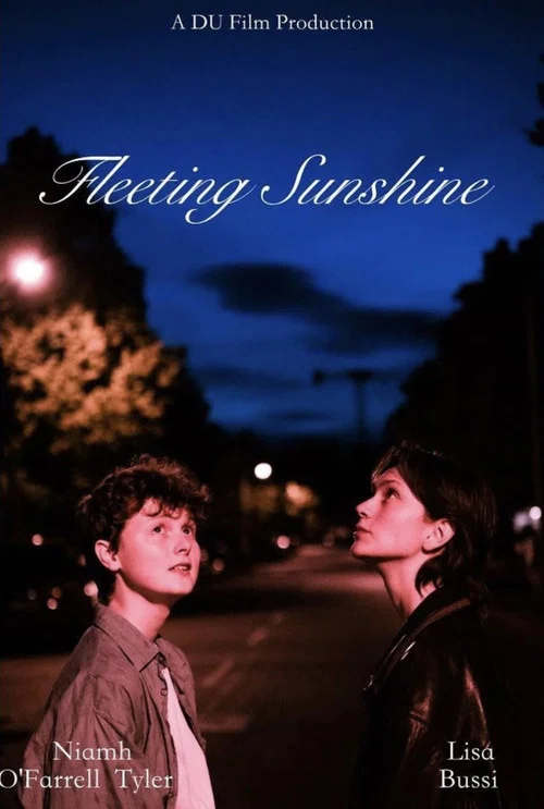 Fleeting Sunshine постер