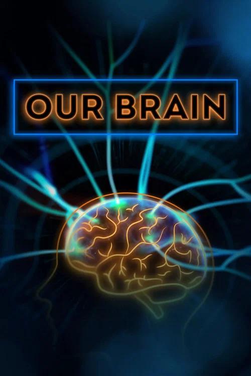 Our Brain постер