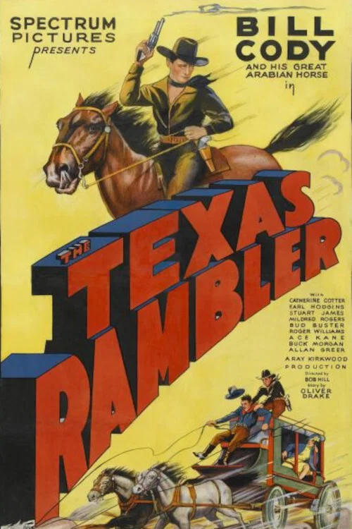 The Texas Rambler постер