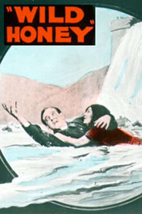 Wild Honey постер