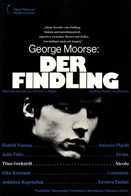 Der Findling постер