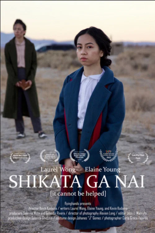 Shikata Ga Nai постер