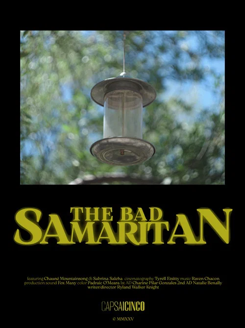 The Bad Samaritan постер