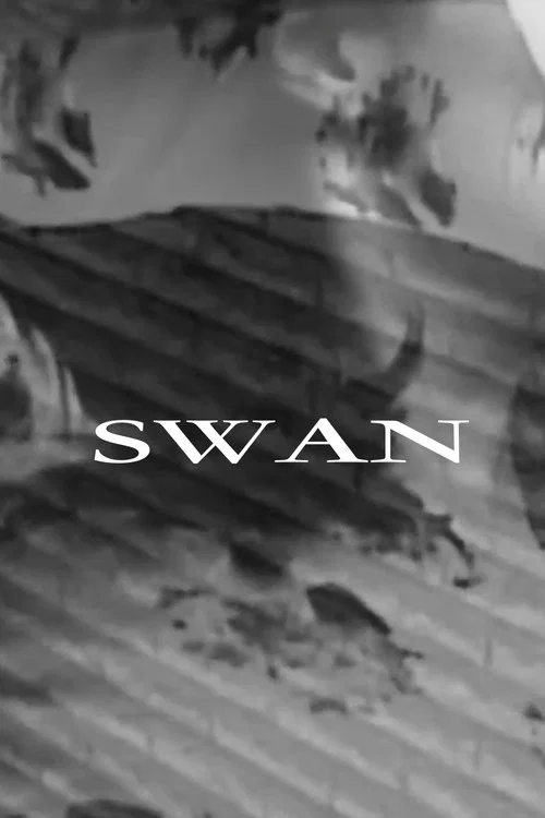 Swan постер