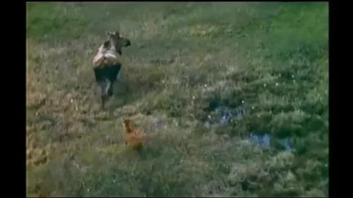 Эпизод 2