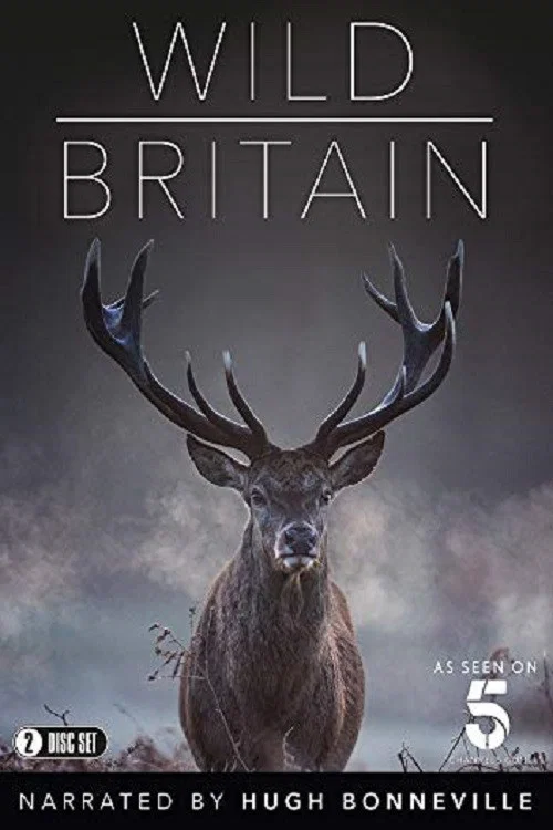 Wild Britain постер