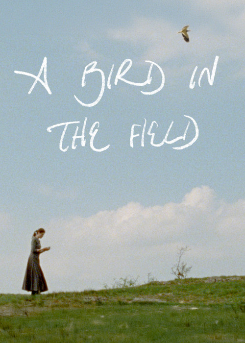 A Bird in the Field постер