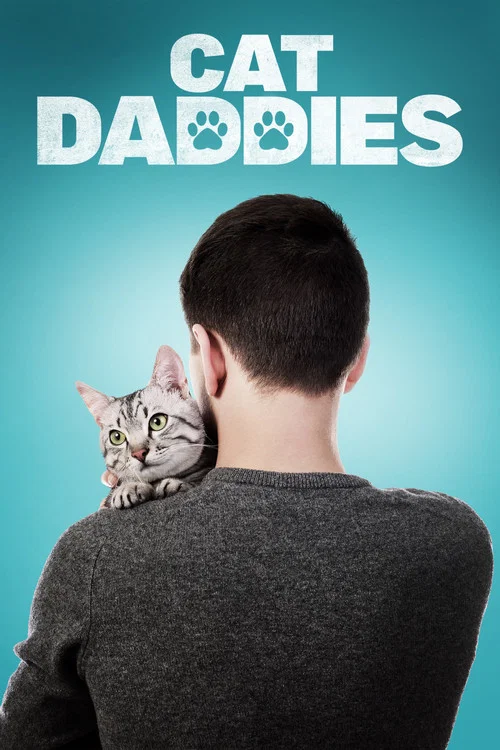 Котики постер