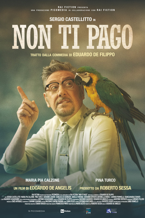 Non ti pago постер