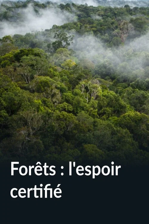 Forêts : l'espoir certifié постер