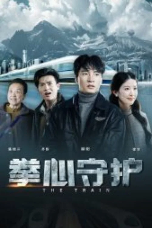 拳心守护 постер