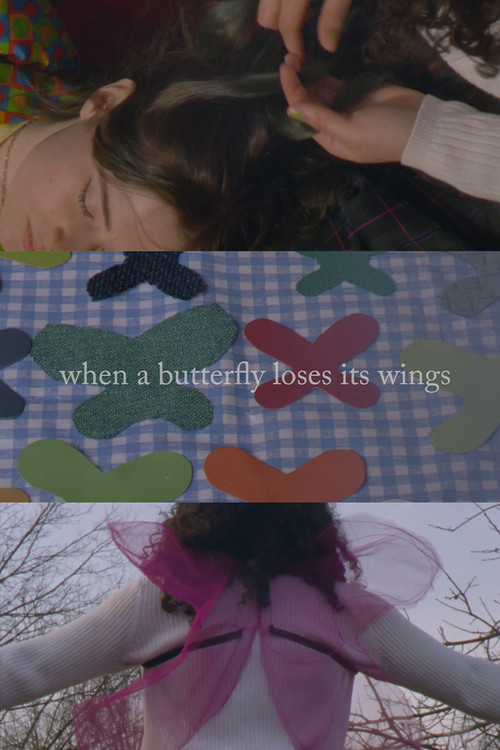 When A Butterfly Loses Its Wings постер