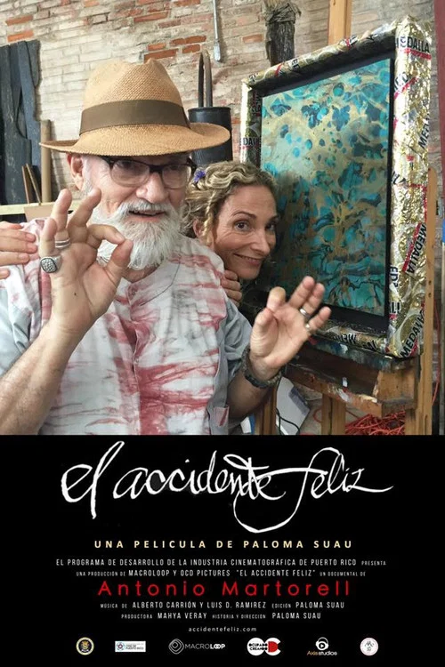 El accidente feliz постер