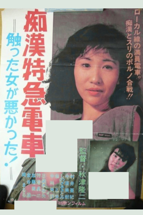 痴漢特急電車　触った女が悪かった！ постер