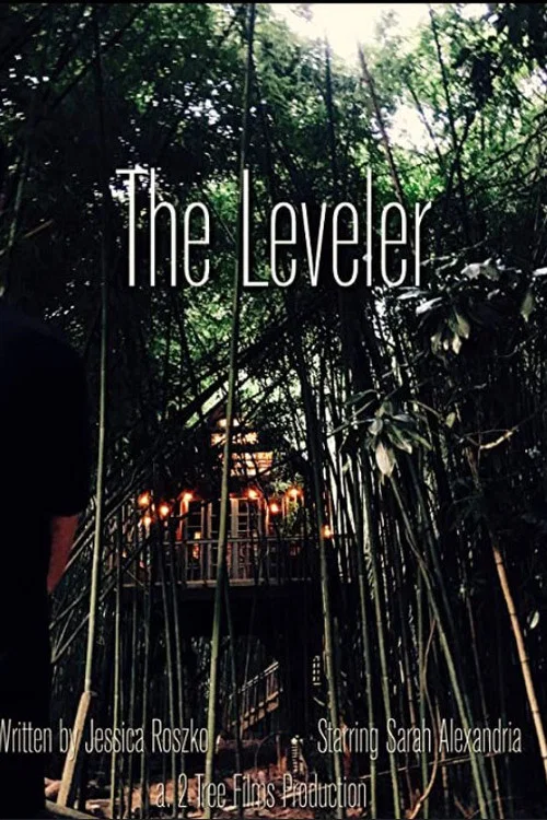 The Leveler постер
