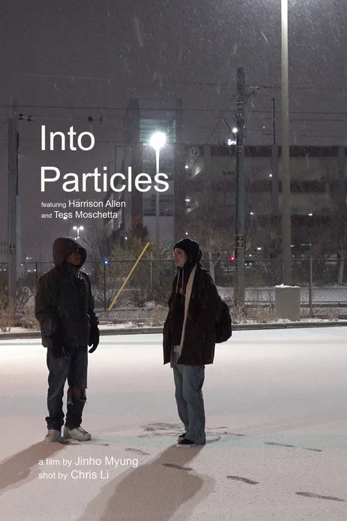 Into Particles постер