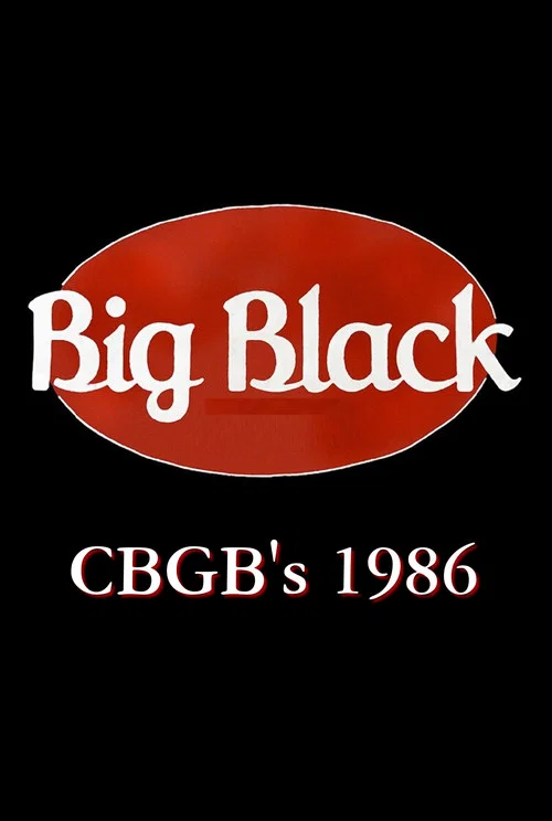 Big Black: Live at CBGB's постер