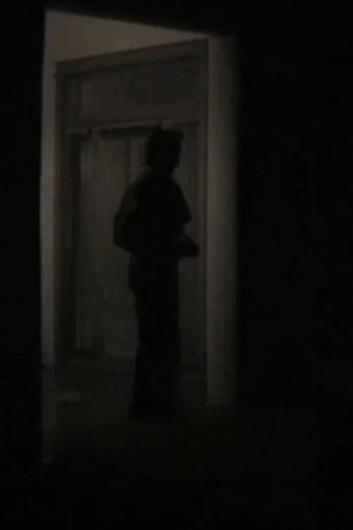 a film about nothing or my friend, jake, in new mexico постер