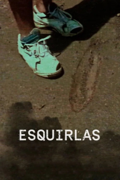 Esquirlas постер