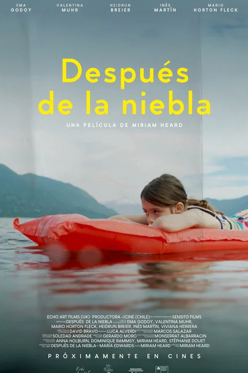 Después de la niebla постер