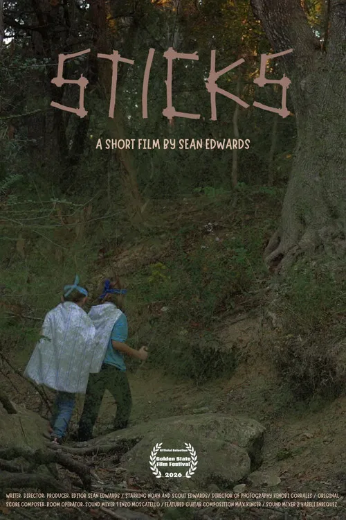 Sticks постер