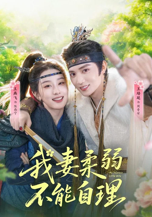 我妻柔弱不能自理 постер