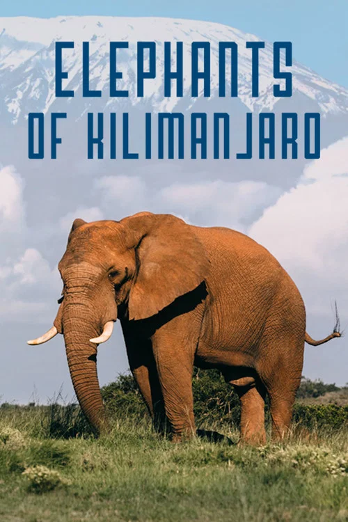 Elephants of Kilimanjaro постер