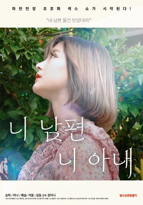 니 남편 니 아내 постер