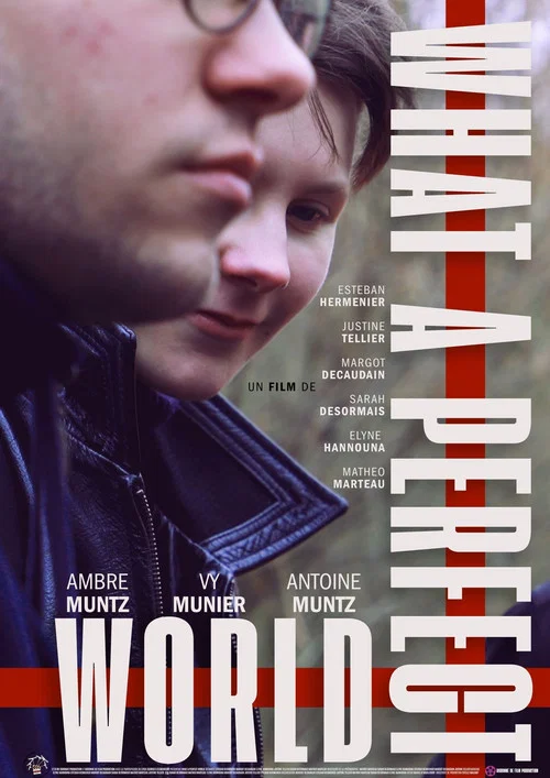 What a Perfect World постер