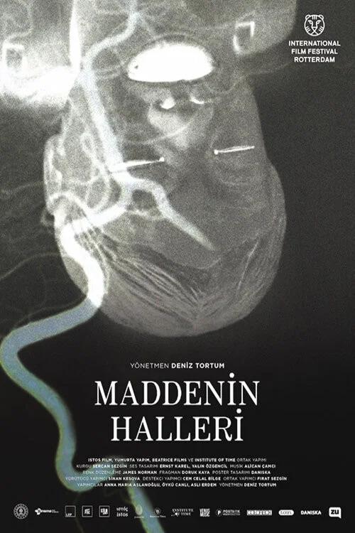 Maddenin Halleri постер