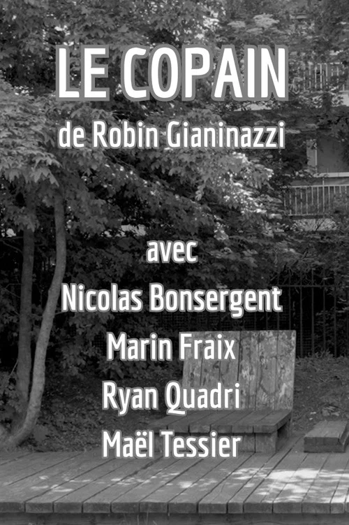 Le Copain постер
