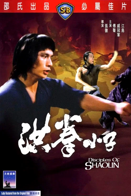 洪拳小子 постер