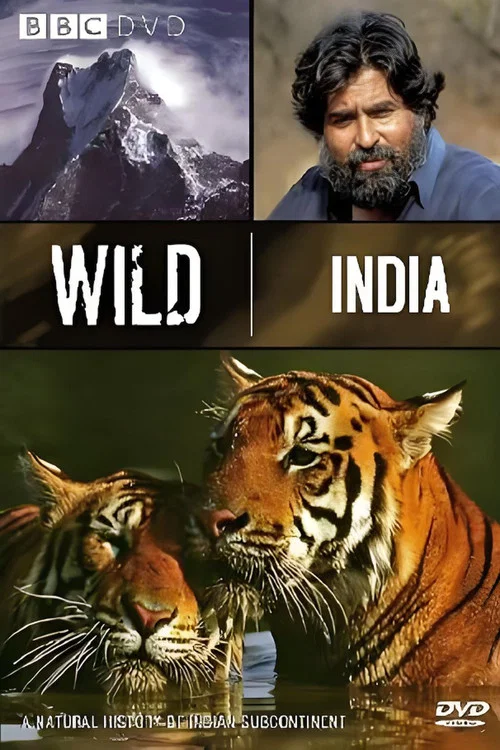 Wild India постер