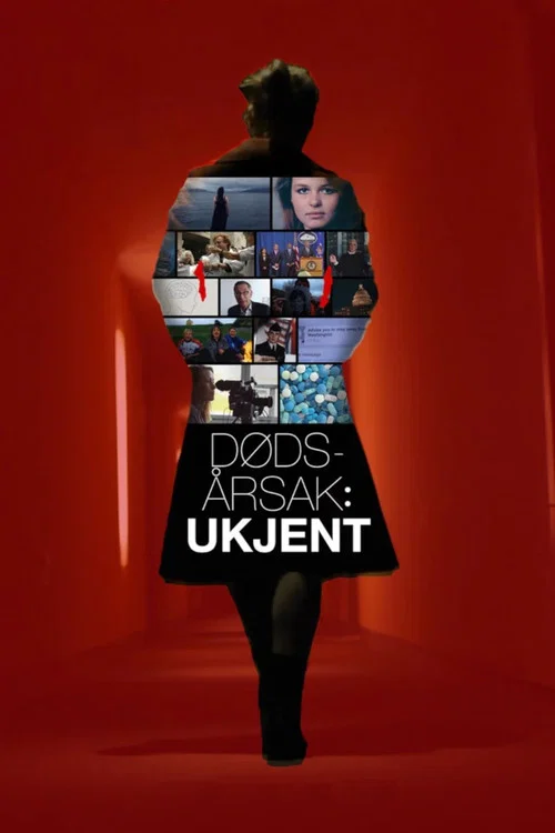 Dødsårsak: Ukjent постер