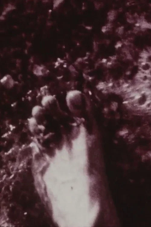 Footprints постер