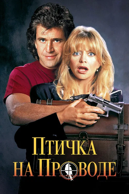 Птичка на проводе постер