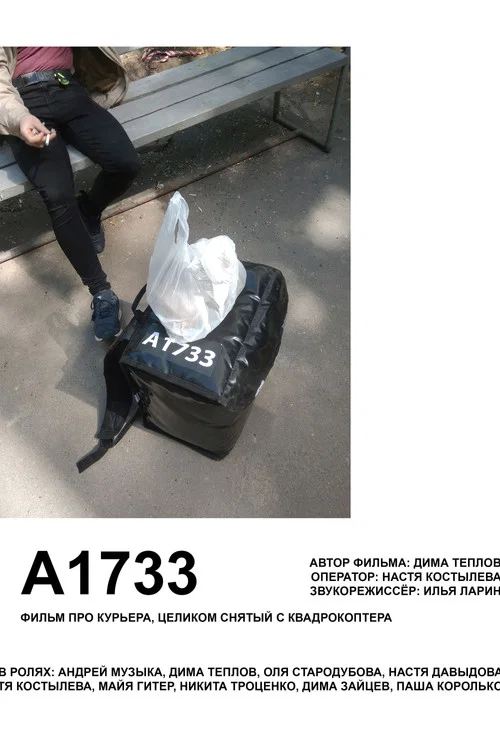 А1733 постер
