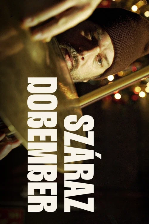 Száraz dobember постер