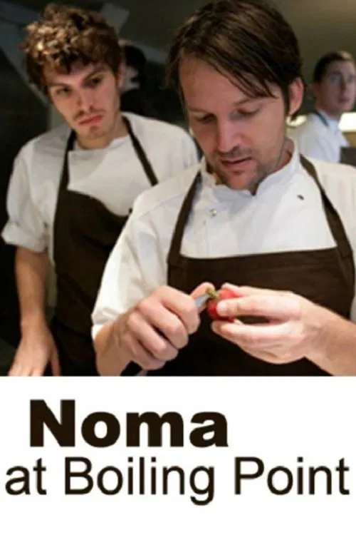 Noma på kogepunktet постер