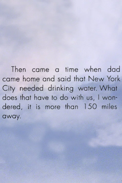 The Fall of Cannonsville постер