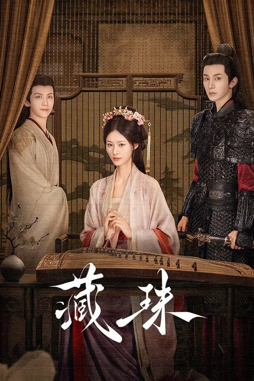 藏珠 постер