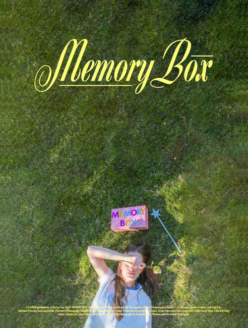 MEMORY BOX постер