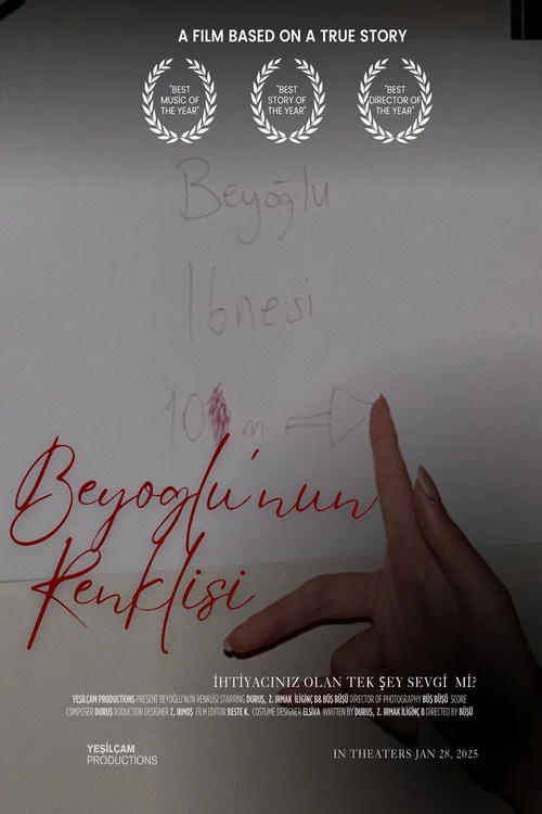 Beyoğlu'nun Renklisi постер